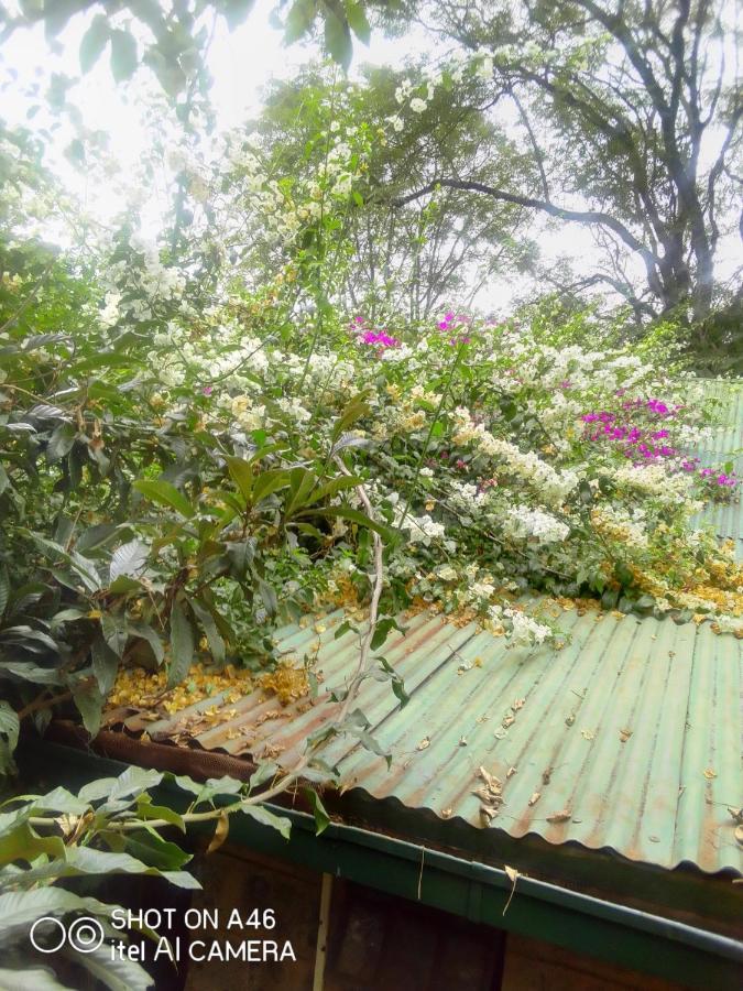 The Cottage-Place Of Grace 2Bdrm And Loft Bed All 4U At Usd58 Найроби Екстериор снимка